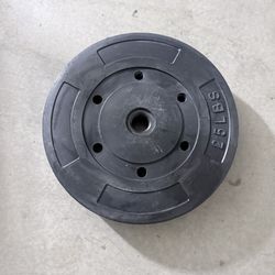 Vinyl Weight Plate 25 Lbs 