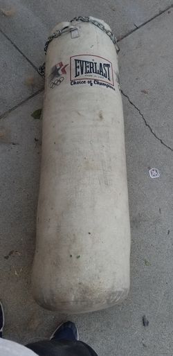 Everlast Punching Bag