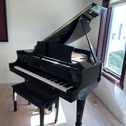 Essex Baby Grand Piano EGP-155