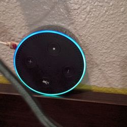 Amazon To Play Music And Ask It What Ever You Want