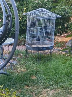Bird Cage