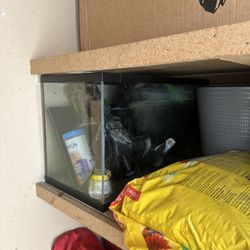 fish tank 