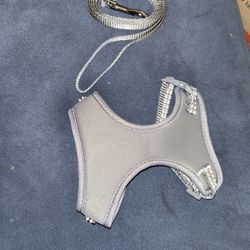 Cat/small Dog Harness& Leash