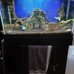 Fish Tank With Cabinet
