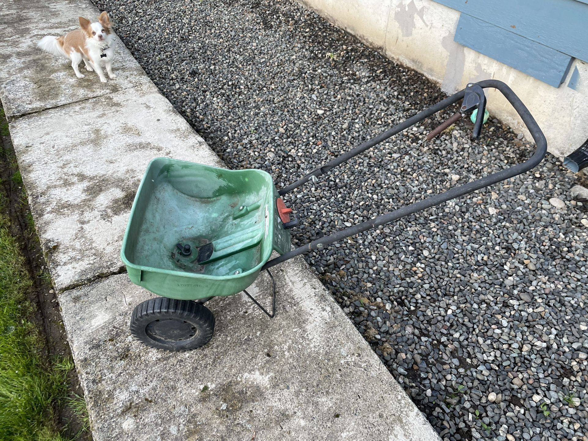 Turf feeder