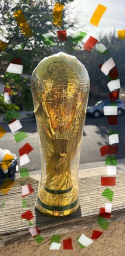 FIFA World Cup 🏆 trophy!