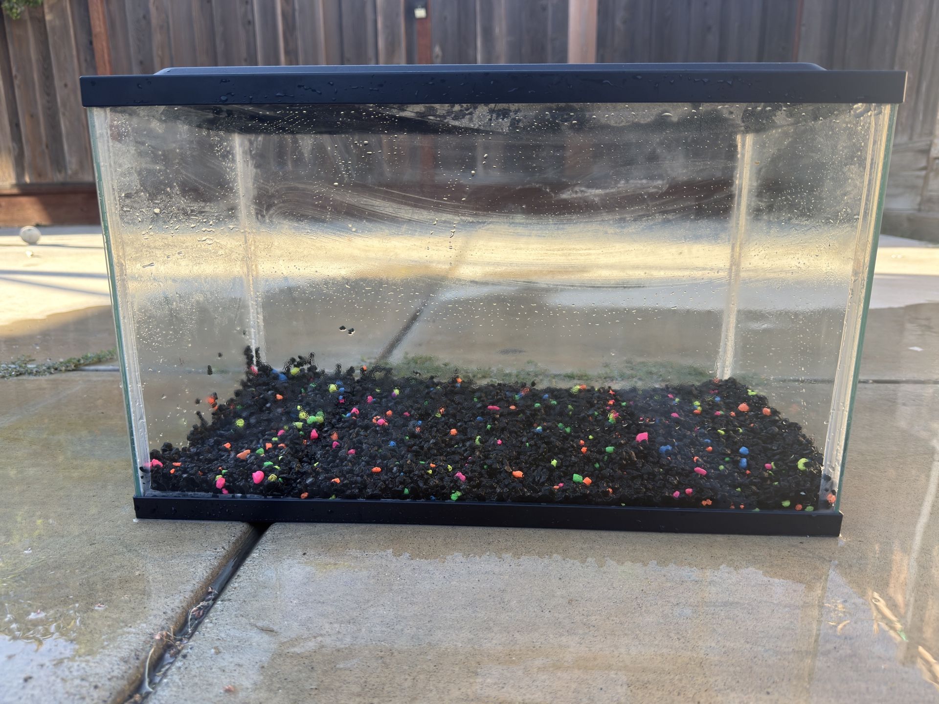 10 Gallon Fish Tank 