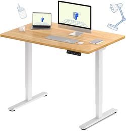 FLEXISPOT E1 Dual Motor Electric Standing Desk, 48 x 24 Sit Stand Desk Holds 220 lbs, Adjustable Height w/ Memory Presets, Seamless Maple Desktop & Wh