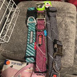 Leashes Collars And Harness