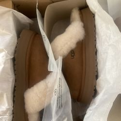 UGGs  Disquette Chestnut 