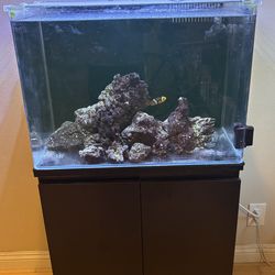 20-gallon Fish Tank