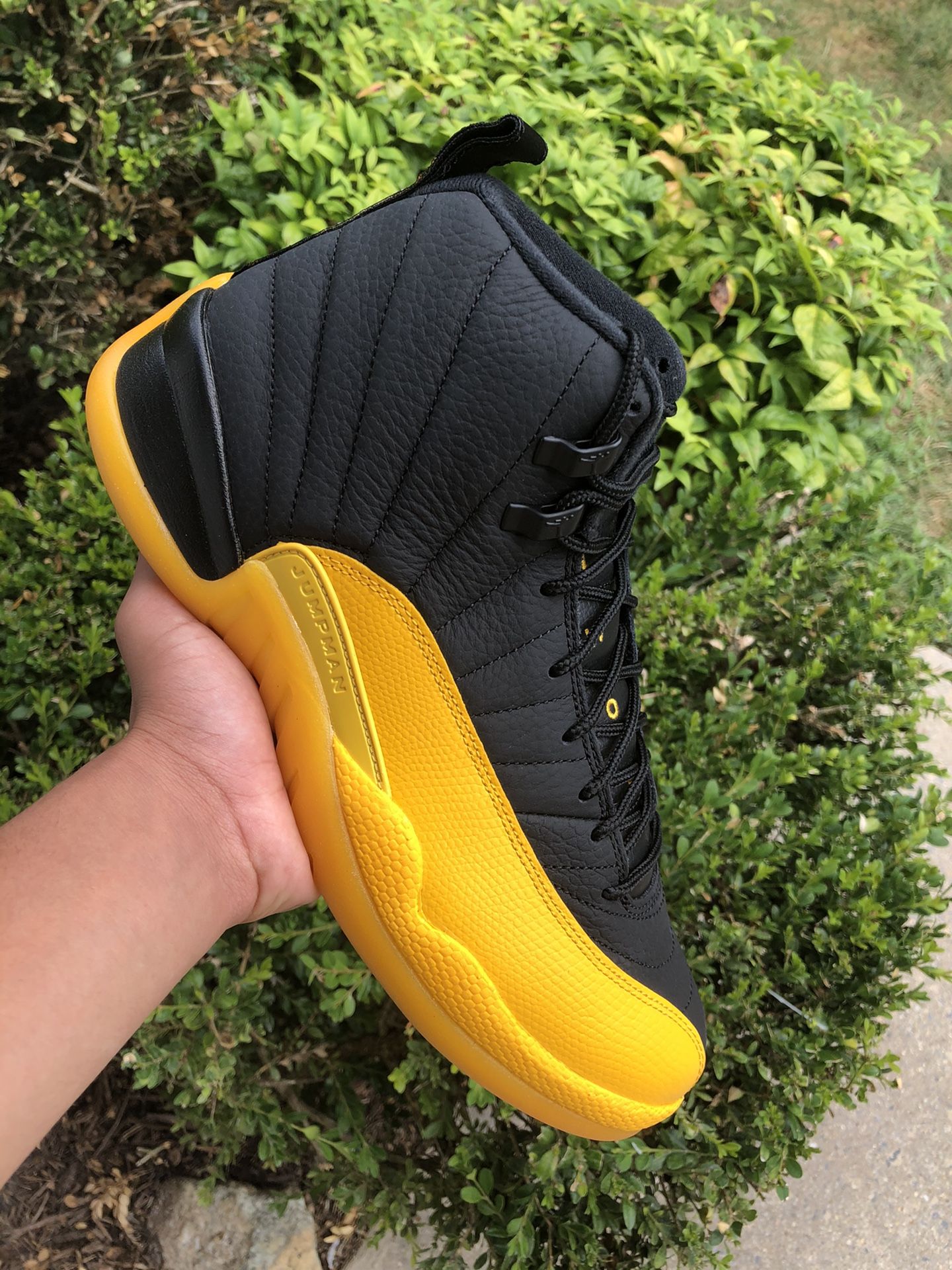 Jordan 12 University Gold