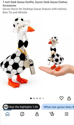 Soccer Desk Goose Outfit with Helmet and Whistle