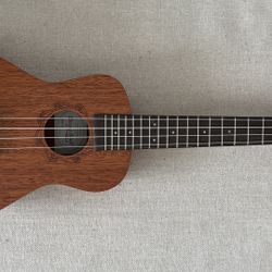 Concert Ukulele w/ Carrying Case 