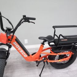 Cargo and Cart EBikes | Look, Test Ride, and Purchase 