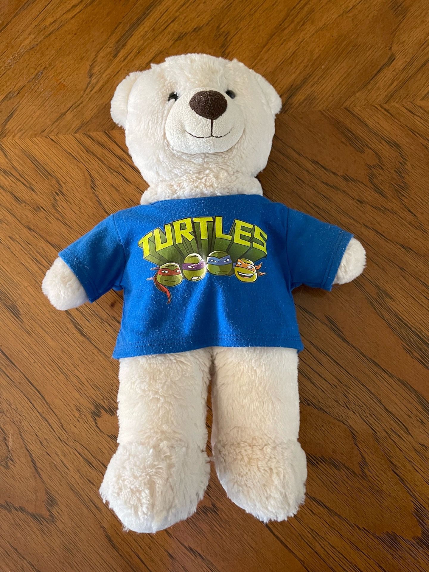 Build a Bear Bear Wearing a Ninja Turtle Shirt