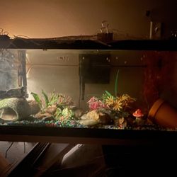 15 Gal Freshwater Aquarium- Everything included