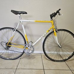 VINTAGE  TREK 560 Pro Series