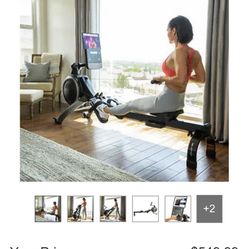 Rowers R10 Proform $220 Each 