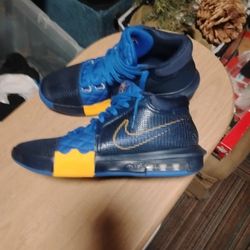 Nike LeBron James High Tops 