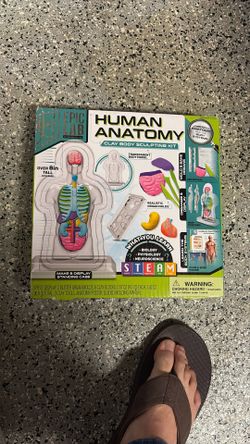 Human Anatomy Clay Sculpting Kit