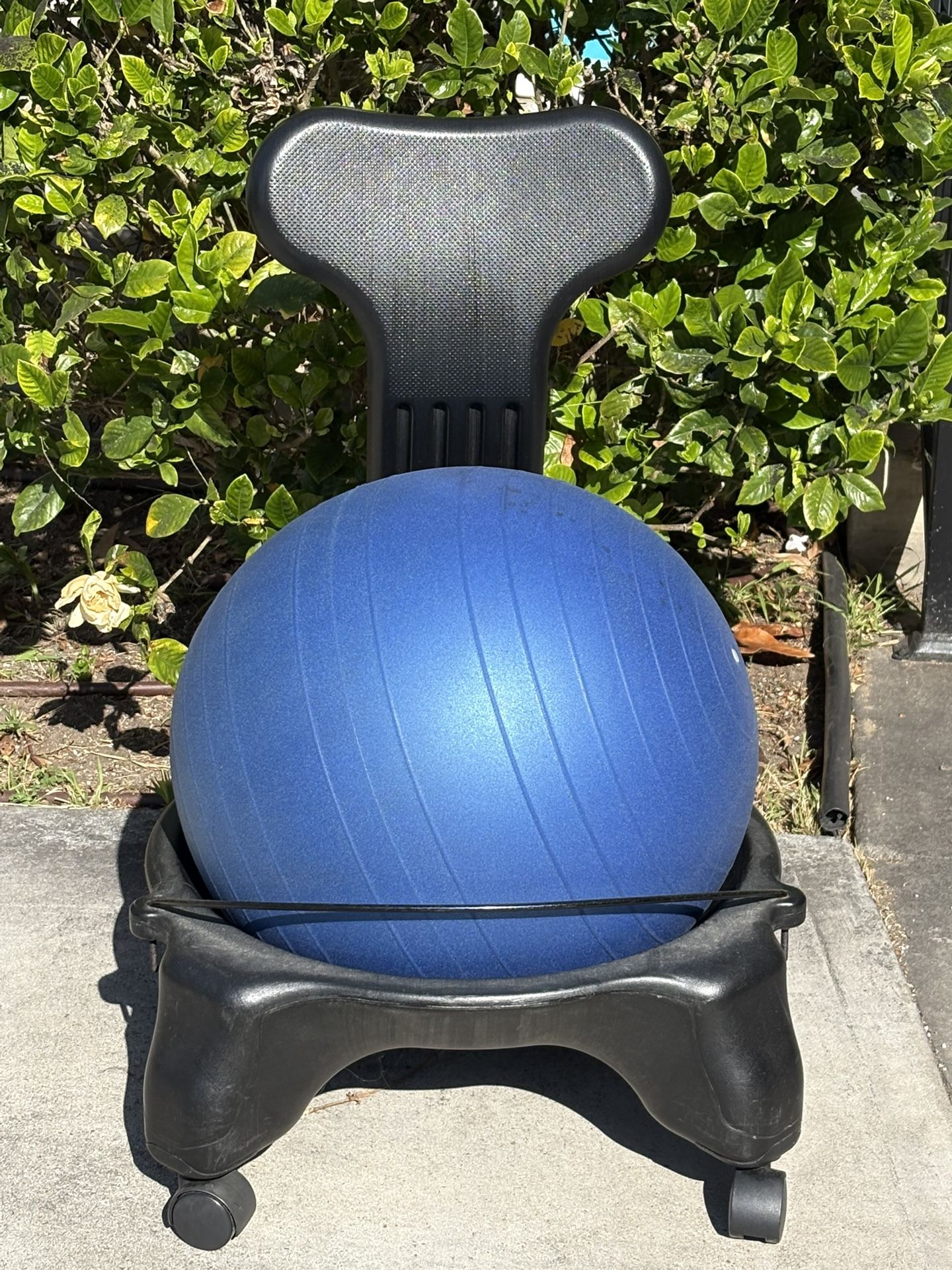 Exercise Ball Chair