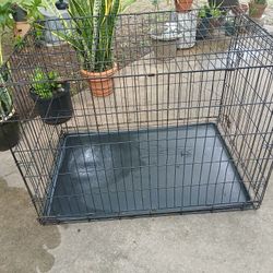 Dog Kennel