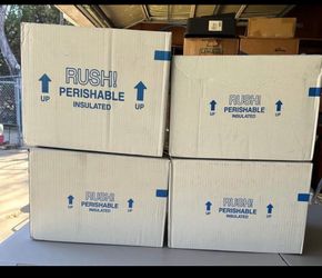 Rush Perishable Insulated Shipping Boxes – Set of 4