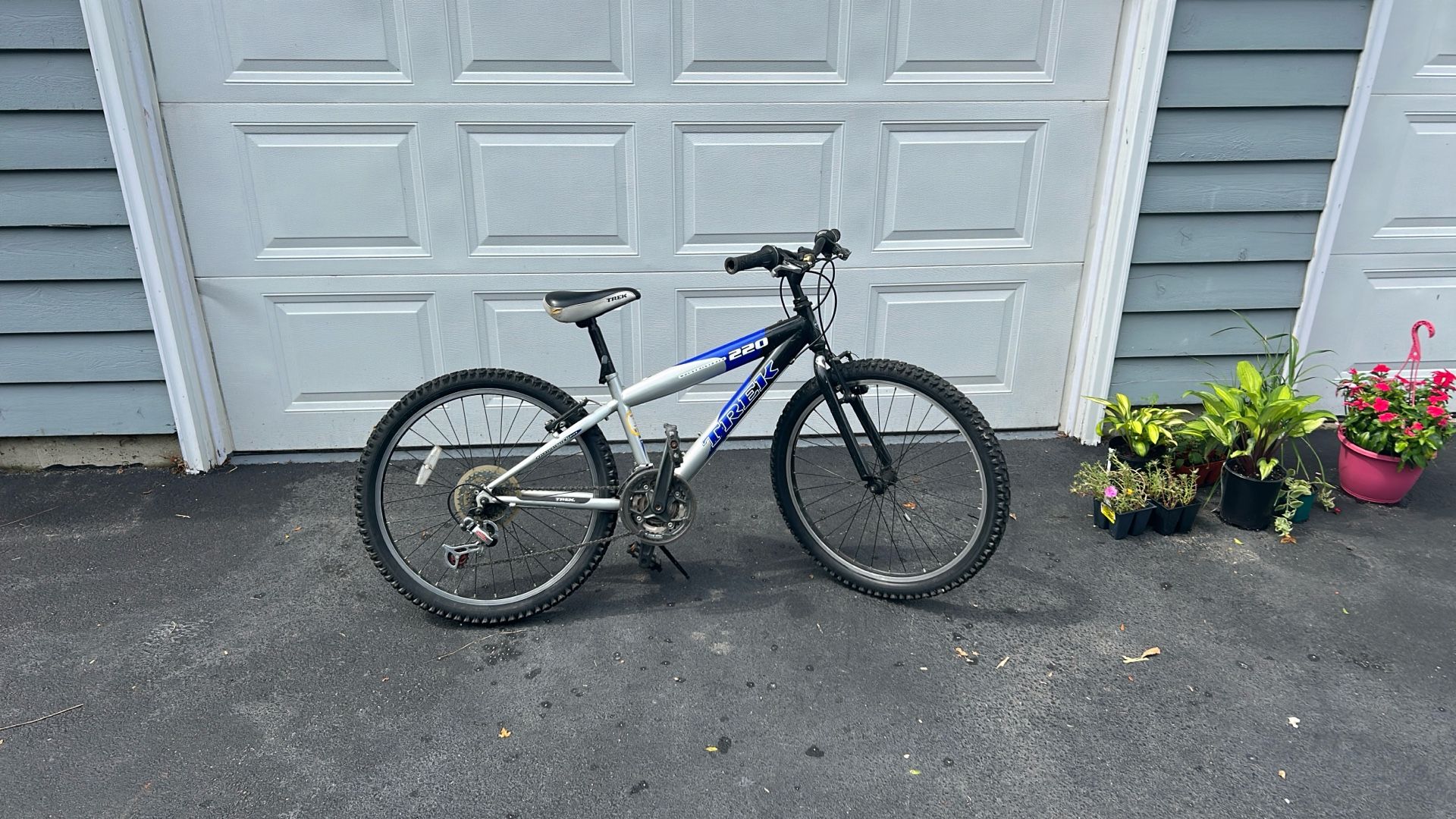 Trek Bike