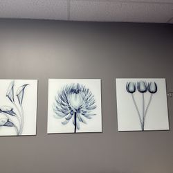 3 Set Of Wall Art 