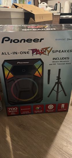 Pioneer All-In-One Party Speaker