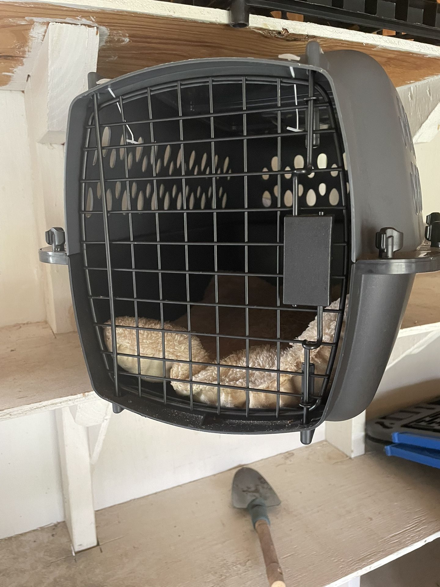 Pet Porter