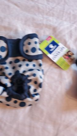 Puppy diaper cover and Small harness
