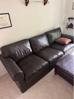 Dark Brown Sofa