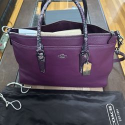  Coach  Purse 