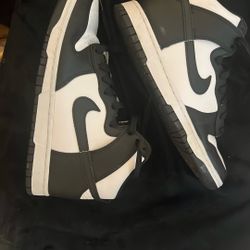 Nike Dunk High Tops