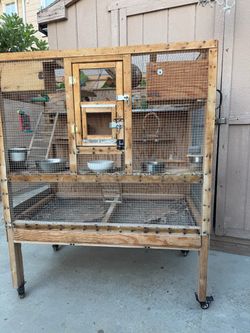 Big Bird cage