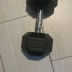 45 Pound Dumbbell