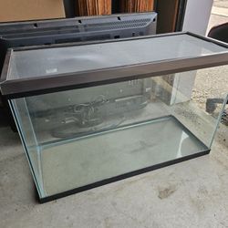 Reptile Glass Terrarium

