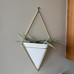 White and gold Hanging Terrarium 