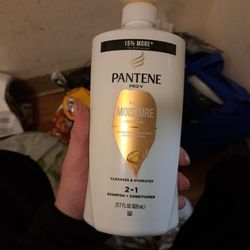 Pantene Pro V Shampoo And Conditioner 