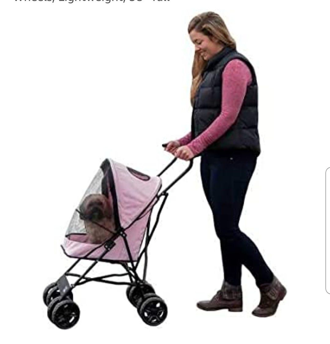 New Stroller for dog