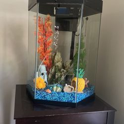 20 Gallon Fish Tank