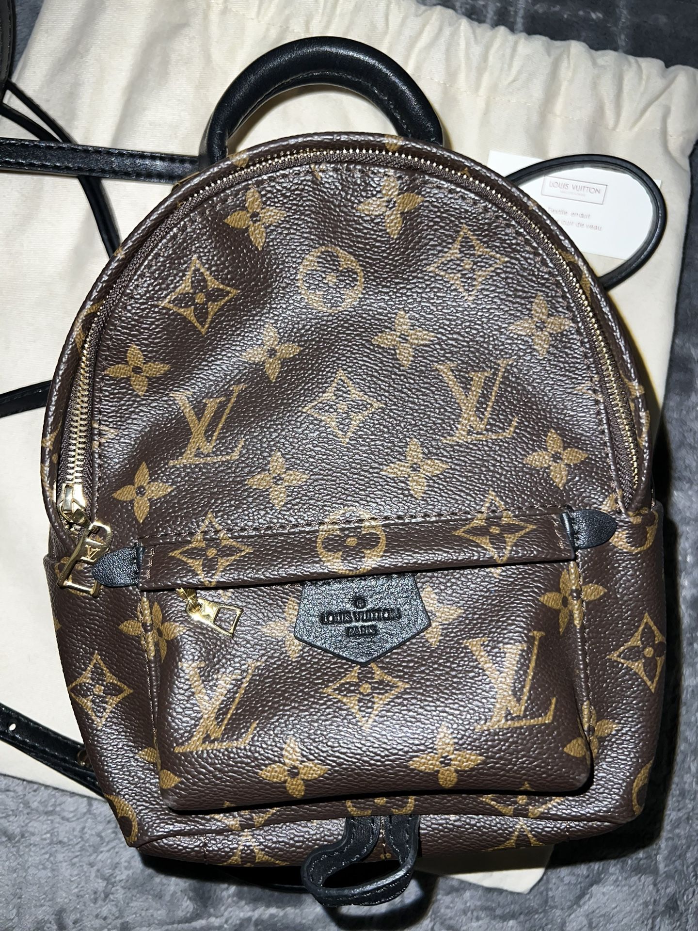 Louis Vuitton Palm Springs Backpack