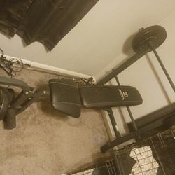 Weight Bench With 45 Pound Bar Extra Steel Weights And An Ab Roller