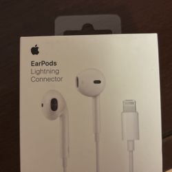 EarPods Lighting Connector
