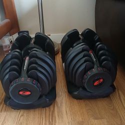 BowFlex SelectTech 1090 Adjustable Dumbbells