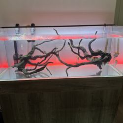 All In One Fish Tank. Current USA 48" Serene Aquarium Only with Assembled Cabinet, Gray Wood Color 48"x18"x18"