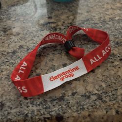 ClemFest wristband
