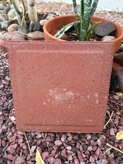 Wanted 12x12 pavers / stepping stones